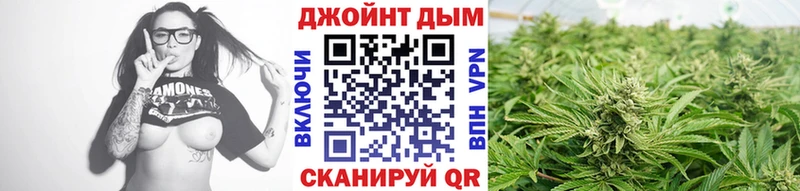 Конопля ГИДРОПОН  Купить где  Видное 